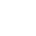 NGK Spark Plugs